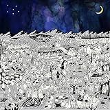 Pure Comedy (2LP+MP3) [Vinyl LP] [Cover Bild kann abweichen]