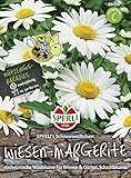 Echte, wilde Margerite von Sperli-S