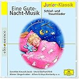 Eine Gute-Nacht-Musik