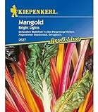 Mangold 'Bright Lights',1