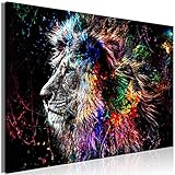 murando - Bilder Tiere 120x80 cm Vlies Leinwandbild 1 tlg Kunstdruck modern Wandbilder XXL Wanddekoration Design Wand Bild - Löwe bunt Gesicht Abstrakt g-C-0269-b