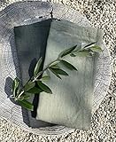 Rosa trend Geschirrtuch 2er Set 100% Leinen Light Green & Dark G