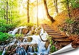 ARTBAY Wasserfall Wald Poster XXL, Kunstdruck - 118,8 x 84 cm, Traumhafter Weg über einen Wasserfall in einem von Sonne durchfluteten, zauberhaftem, heimischen Wald | Wandposter | Fotop