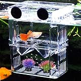 Aufzuchtbecken Aquarium, NETUEM Acryl Double Layer Fische Aufzuchtbehälter/Ablaichkasten/Aufzuchttank/Zuchtbecken für Guppy Garnelen Mollys, Aquarium Babybecken Isolationskiste Jungfiisch,L