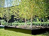 Balwyn, V