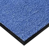 Certeo Schmutzfangmatte Rhine Cornflower Blue | BxL 120 x 300 cm | Polyamid | Blau | Rutschfest Sauberlaufmatte Pfleg