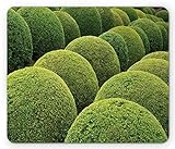 Lunarable Boxwood Hedge Mouse Pad, Grün Gartenbälle in Frankreich botanische Kunst Freizeit Garten Foto, Rechteck rutschfest Gummi Mauspad, Standardgröße, Gelbgrü