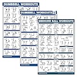 Palace Learning 3er Pack: Hanteltraining Poster Volume 1 & 2 + Medizinball Übungen – Set mit 3 Workout-Diagrammen (laminiert, 45,7 x 68,6 cm)