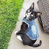 XIAOTAO Kleidung für Haustiere Denim Katzenkleidung für Katzen Mode Katzenmantel Jacke Warme Outfits Schöne Haustier Katzenkleidung Lässige Jeans Outfits Für Hunde Kostüm-L