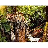 Fototapete Leopard Afrika 352 x 250 cm Vlies Tapeten Wandtapete XXL Moderne Wanddeko Wohnzimmer Schlafzimmer Büro Flur Grün Braun 9201011
