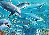 10 Delfin-Einladungen (Set 1) / Geburtstagseinladungen Kinder Mädchen Jungen: 10-er-Set Delfin-Einladungskarten zum Kindergeburtstag oder ins Schwimmbad von EDITION COLIBRI (10690)