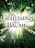 Das Geheimnis der B