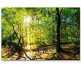 Paul Sinus Art Leinwandbilder | Bilder Leinwand 120x80cm Wald im S