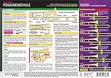 Posaunenschule: Aufbau, Handhabung und Griffe der Zugposaune mit und ohne Quartventil (incl. kompletter Zugtabelle)