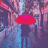 Milde (Erinnerungen)