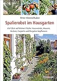 Spalierobst im Hausgarten: Viel Obst auf kleiner Fläche: Hauswände, Mauern, Hecken, Carports und Pergolen bep