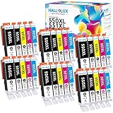 HALLOLUX PGI-550 XL CLI-551 XL Kompatibel für Canon 550 XL 551 XL Multipack für Pixma MX925 MX920 MG5650 MG5550 MG6650 iP7250 iX6850 iP7200 MG6450 MX725 MG5450 MG7150 MG7500 MG5400 MG6350(30er-Pack)