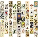 50 Stück Vintage Botanical Wall Collage Kit, ästhetisches Bild Indie Room Decor, Art Poster für Wohnheim-Wanddekoration, Wandkunstdrucke für VSCO Mädchen Jung