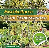 Mischkulturen im Gemüsegarten: Bio-Garten PRAXIS