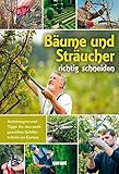 Bäume und Sträucher richtig