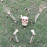 HeiHeiDa Halloween Skelett Schädel Deko Realistisch Grausigkeit Begraben Lebend Skelett Schädel Garten Hof Rasen Dekos für Halloween Garten Hof Rasen Dek