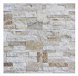1 Muster W-010 Quarzit Wand-Design Wandverblender Wandverkleidung Steinwand Naturstein Verblender Lager Verkauf Stein-Mosaik Herne NRW