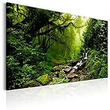 murando - Bilder Wald Bach 120x80 cm Vlies Leinwandbild 1 TLG Kunstdruck modern Wandbilder XXL Wanddekoration Design Wand Bild - Natur Landschaft Bäume Wasserfall c-B-0234-b