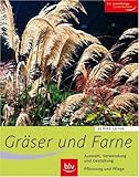 Gräser und Farne: Alle wichtigen Arten und Sorten im Porträt. Auswahl, Verwendung und Gestaltung. Pflanzung und Pflege. Der zuverlässige Gartenb