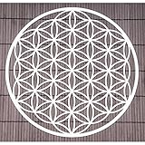 Blume des Lebens Wand-Deko ø 25 cm Edelstahl | Wand-Schmuck Lebensblume Flower of Life Spirituelles Energie Symbol | Feng Shui Esoterik Geschenke I