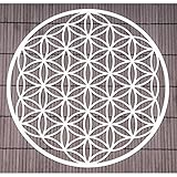 Blume des Lebens Wand-Deko ø 25 cm Edelstahl | Wand-Schmuck Lebensblume Flower of Life Spirituelles Energie Symbol | Feng Shui Esoterik Geschenke I