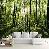 TIANZXS Landhausstil Grüner Wald Natur Landschaft Fototapete Umweltfreundliches Vlies Stroh 3D Maßgeschneiderte Tapete für Wand -350X245