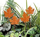 Lilienburg Roststecker Gartenstecker Gartendeko (4er Set Herbstblätter)