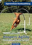 Hoopers-Agility: Hundesport ganz ohne Spring