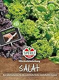 82860 Sperli Premium Salat Samen Mix | Pflücksalat Salatmischung | Saatband | Salat Saatgut | Salat Mix S