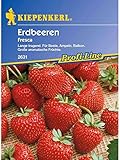 Erdbeeren F