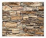 W-022 Quarzit Wandverkleidung Naturstein Wandverblender Mauerverkleidung Natural Stone Wall Cladding - 1 Muster - Wandfliesen Natursteinfliesen Lager Verkauf Stein-Mosaik Herne NRW