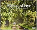 Bäume – Alleen 2018 – Wandkalender 52 x 42,5 cm – Spiralbindung