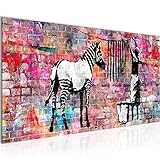 Wandbilder Banksy Washing Zebra 1 Teilig Modern Vlies Leinwand Wohnzimmer Flur Street Art  Bunt 012912
