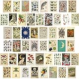 Hesma 50 Stück Vintage Botanical Wall Collage Kit, Room Decor Ästhetisches Wandcollage Set,Bilder Für Mädchen Wandcollage, 10,5x14,6cm Poster,Vsco Girl Raumdekoration (B,50pcs)