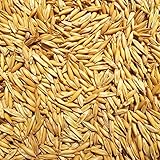 Supravit Hafer Futterhafer 5 kg für Pferde, Nager & Geflüg