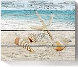 ZXlDXF Malen nach Zahlen für Erwachsene Anfänger Kinder Strand Seestern und Sand auf Holzmaserung DIY Ölgemälde Kit auf Leinwand mit Pinsel und Acrylpigment (16X20 Zoll) R