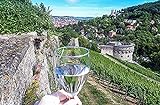 JOCHEN SCHWEIZER Geschenkgutschein: Weinverkostung und Rallye Würzburg