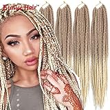 6 Packs Eunice Hair Lange Flechten Hair Extensions 24 Inch Kunsthaar Haar für Heimwerker Crochet Box Zöpfe 100Gram/Pack Kunsthaar Braids Haarverlängerung 20 Wurzeln/Pack(Ombre blond)