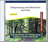 Entspannungsmusik Wald - Entspannung und Meditation Im Wald - Naturgeräusche zur Entspannung - Vogelgezwitscher mit Musik - zum Einschlafen, Träumen oder zur M