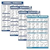 Palace Learning 4 Stück – Hantel-Workout-Poster Volumen 1, 2 und 3 + Körpergewicht-Übungstabelle – Set mit 4 Postern (laminiert, 45,7 x 61 cm)