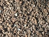 Der Naturstein Garten 12,5 kg Lava Steine 8-16 mm - Pflanzgranulat Lavastein Lavasteine Kies Kiesel Aquarium Dachbegrünung Lavagranulat - Lieferung KOSTENLOS