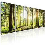 murando - Bilder Wald 200x80 cm Vlies Leinwandbild 5 tlg Kunstdruck modern Wandbilder XXL Wanddekoration Design Wand Bild - Waldlandschaft Natur Panorama Baum c-C-0177-b