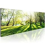 murando - Bilder Landschaft 120x40 cm Vlies Leinwandbild 1 TLG Kunstdruck modern Wandbilder XXL Wanddekoration Design Wand Bild Panoramabild - Natur Bäume Park c-B-0053-b