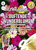 Duftende Wunderblume Gestreifte Mischung, exotische Blütenpracht mit herrlichem Duft, bienenfreundlich, S