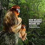 How Wildlife Photography Became Art: 55 Years of Wildlife Photographer of the Y